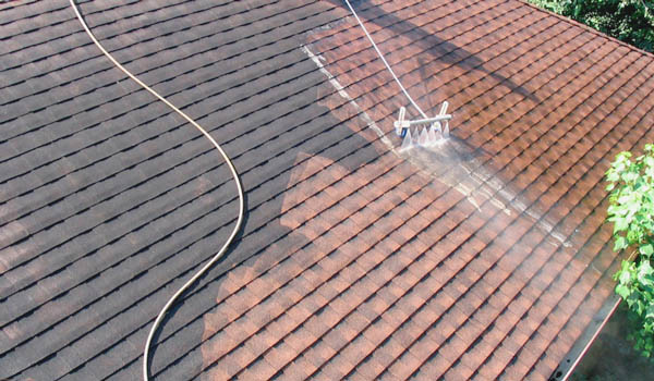 Roof Cleaners Warner