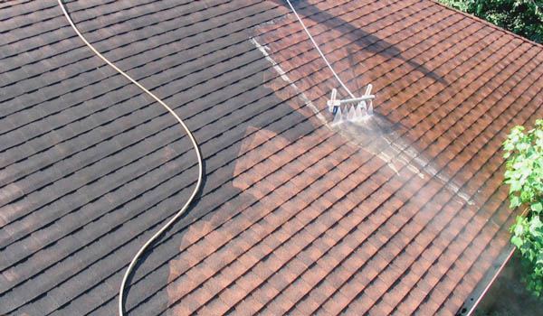 Roof Cleaning
